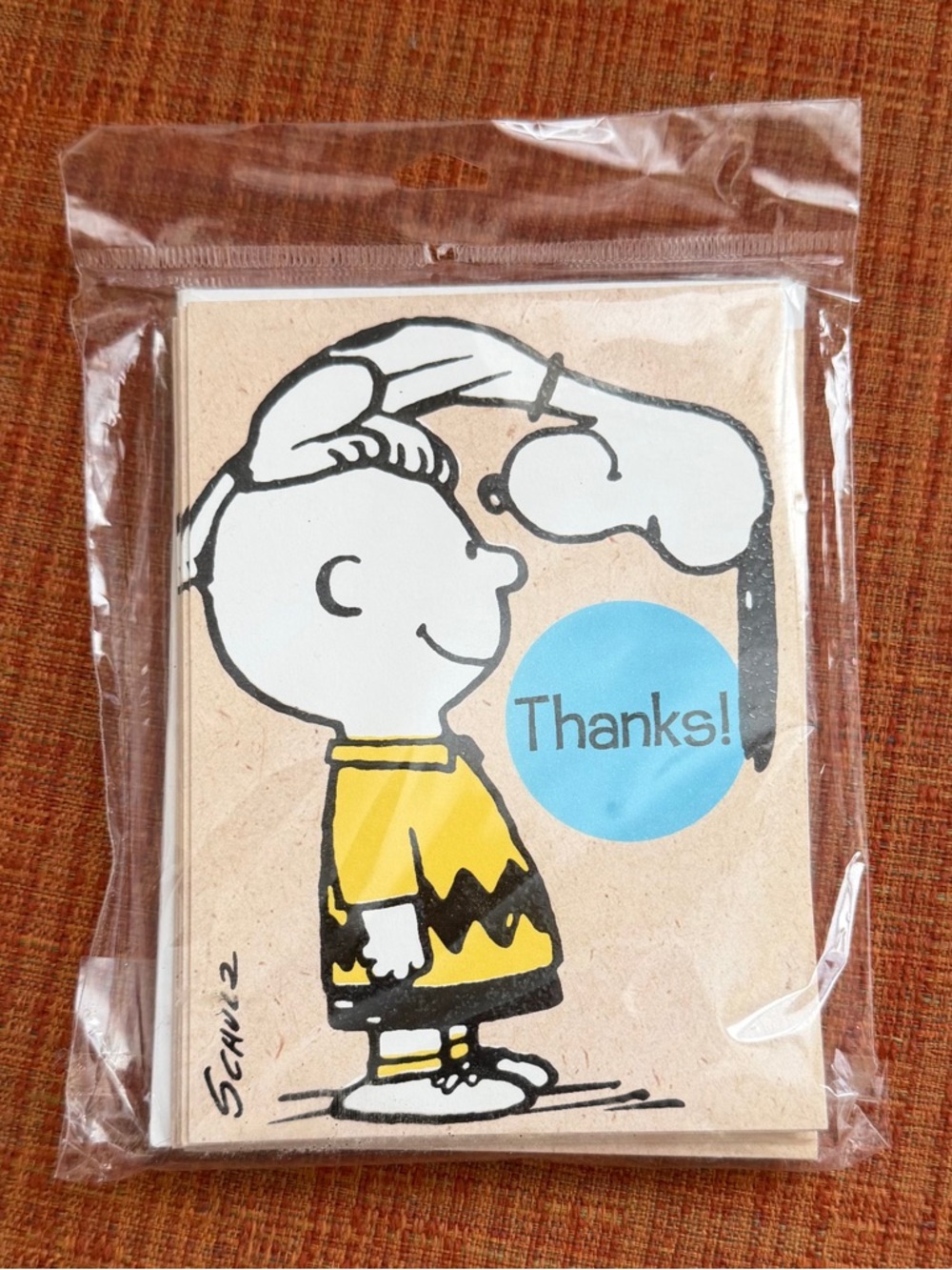 Peanuts Charlie Brown 'Thanks!' Note Cards Set of 10